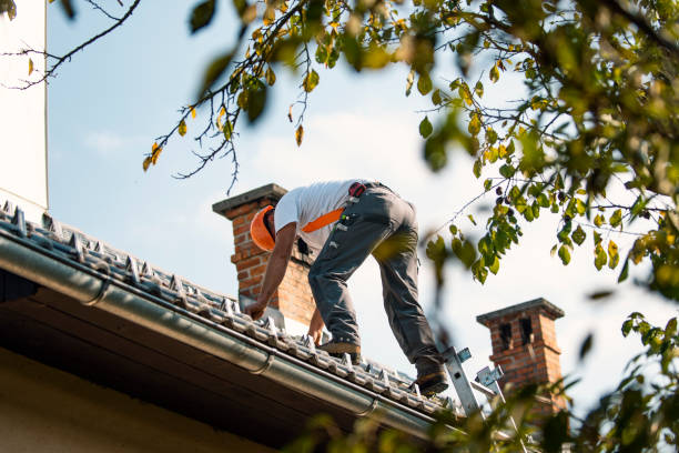 Best Roof Gutter Cleaning  in Briggs, OK
